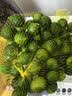 京觅小青柠檬小青金桔 净重1斤单果7g+奶茶店泡茶用 水果源头直发包邮 实拍图