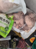 正大鸡胗2斤 生鲜冷冻鸡肫卤煮孜然鸡胗烧烤炒菜麻辣小郡肝 实拍图