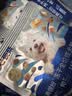 豆柴（docile）经典缤纷冻干狗粮成犬小型犬大型犬犬粮比熊泰迪狗粮试吃40g*5 实拍图
