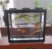 桌面鱼缸小型家用积木缸生态缸水族箱斗鱼缸带小夜灯氛围灯摆件 黑色斗鱼缸【不带灯】 实拍图