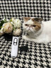 奥克斯（AUX）宠物剃毛器猫咪专用推子长毛猫电推剪静音剃猫毛神器宠物猫脚底推毛器 【长毛猫专用 可防水】标配 实拍图