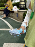 FitonTon内衣女大胸显小聚拢收副乳文胸性感蕾丝无钢圈内衣七夕情人节礼物 实拍图