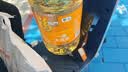 东上御品虾 青岛大虾基围虾鲜活青虾白虾海虾对虾冰虾冻虾生鲜 虾类 海鲜 3斤(净重)  气冻大虾【活虾速冻】 17-21cm【特大虾皇】 实拍图
