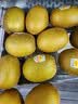 佳沛（zespri）新西兰 阳光金果25-27粒原箱特大果单果124-146g 猕猴桃水果礼盒 实拍图
