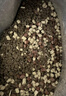 网易严选全价猫粮4.0成幼猫三文鱼亮毛养胃深海鱼虾1.8kg*4袋【宠物金选】 实拍图