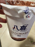 八喜冰淇淋 巧克力口味550g(880ml)*1桶 家庭装 生牛乳冰淇淋桶装 实拍图