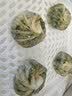 西贝莜面村山茶油纸皮翡翠烧麦480g 8个装 馅饼早餐半成品早点速食开学早餐 实拍图