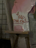 皇家猫粮 幼猫奶糕 幼猫猫粮 BK34 通用粮 1-4月 2KG 实拍图
