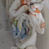 爱贝迪拉婴儿小方巾新生儿超软纯棉口水巾宝宝专用洗脸巾儿童用品纱布毛巾 6层 - 5条 - 30*30cm（维尔特动物园）& 真含山茶油 实拍图