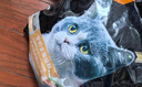 亿迪 冻干猫粮幼猫成猫10斤全价布偶蓝猫英短成年全阶段 实拍图