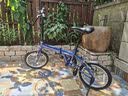大行（DAHON）KT610 蓝色 折叠自行车16英寸YUKI超轻迷你便携男女式通勤单车 实拍图