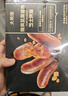 大希地芝士烤肠1斤 儿童肉肠香肠热狗 早餐食品 空气炸锅烧烤食材 实拍图