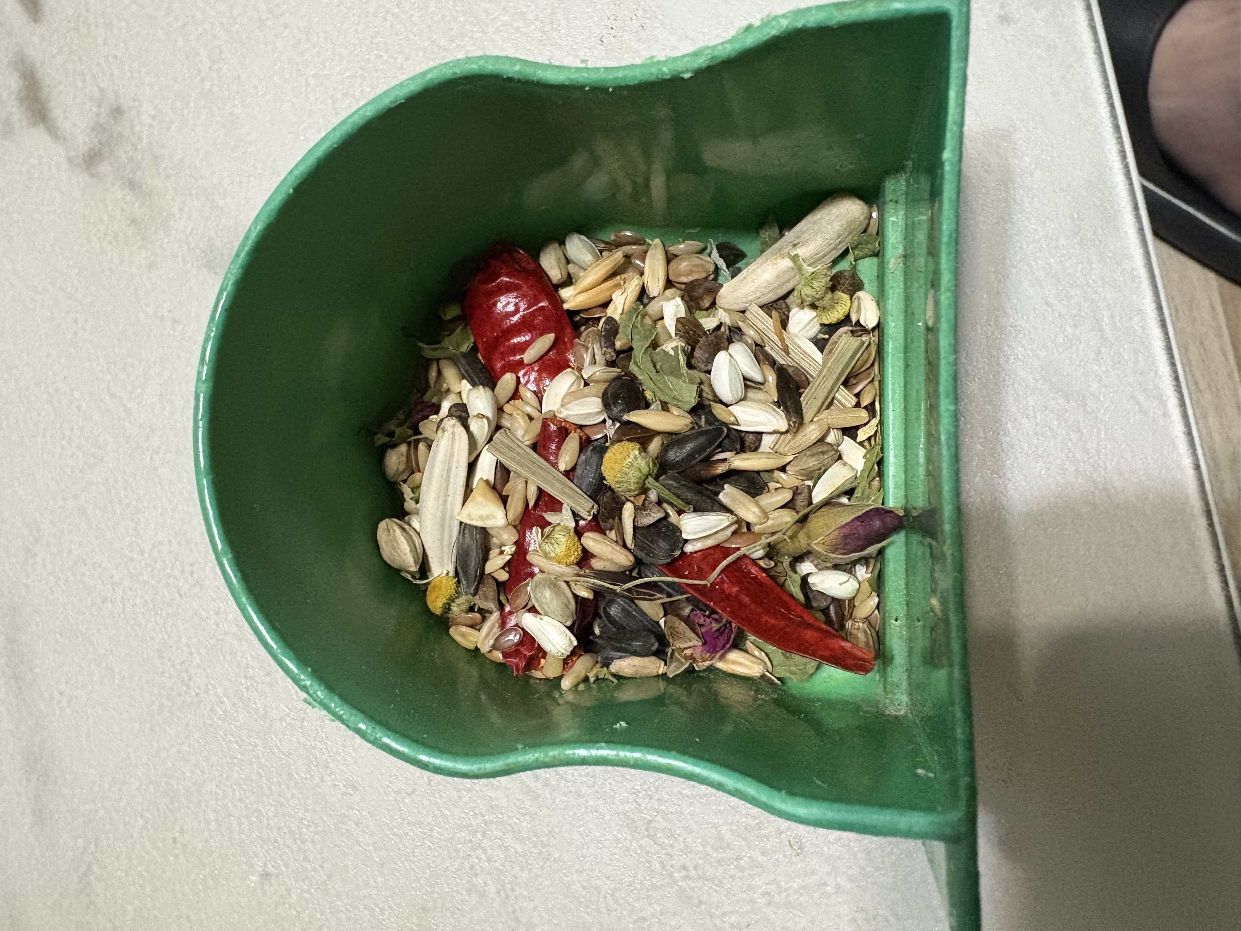 布卡星全价小太阳鹦鹉粮鸟粮益生菌黄谷子加纳利子鸟食鸟饲料500g  实拍图