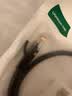 绿联七类网线纯铜 CAT7类万兆屏蔽网络连接线 电脑宽带家用游戏电竞双绞线 兼容2.5g成品跳线5米11271 实拍图