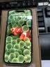 Apple 苹果 iPhone 17/16/15/14/13/12/11/X系列二手手机 规格见质检报告 苹果 iPhone 15 实拍图