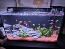 疯狂水草樱桃红雨林砂5斤装1.0-2.0mm鱼缸造景底砂 鱼缸底部沙石 鱼缸底沙 实拍图