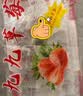 京觅预售丹东草莓99红颜奶油水果礼盒生鲜 净重1斤装单果15g+源头直发 实拍图