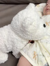 babycare儿童毛绒玩具狗电子宠物西高地动物玩偶生日周岁礼物学说话早教 实拍图