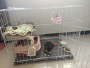 【京东快递】白色多层猫笼子超大空间家用猫窝猫睡玩一体猫咪折叠 双层【豪华套餐】一层厕所+二层休息XL-84*61*67cm 实拍图