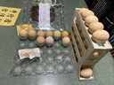 鸡蛋收纳盒冰箱专用保鲜盒家用收纳厨房保鲜盒加高款鸡蛋盒 鸡蛋盒 1个 实拍图