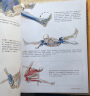 包邮 瑜伽解剖书（4册套装）艾扬格弟子瑞隆医学科学体式彩色插图分解动作运动健身入门指南 后浪正版 晒单实拍图