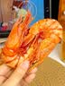水一方九节虾干特大即食烤虾干高蛋白冷冻储存海味零食即食大连特产 实拍图