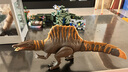 Jurassic World生日礼物电影同款男孩恐龙玩具侏罗纪世界大电影之棘龙JGB56 实拍图