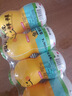 金豆芽儿童金银花柚子汁155ml*16瓶夏天孩子饮料宝宝果汁西柚汁 实拍图