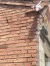 威视达康4g监控器360度无死角带夜视全景监控无线双摄像头无需连wifi网络手机远程农村家用室外插卡需充值 实拍图