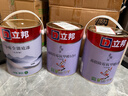立邦乳胶漆涂料京雅居墙漆高倍防霉抗甲醛五合一套装15L/约21kg可调色 实拍图