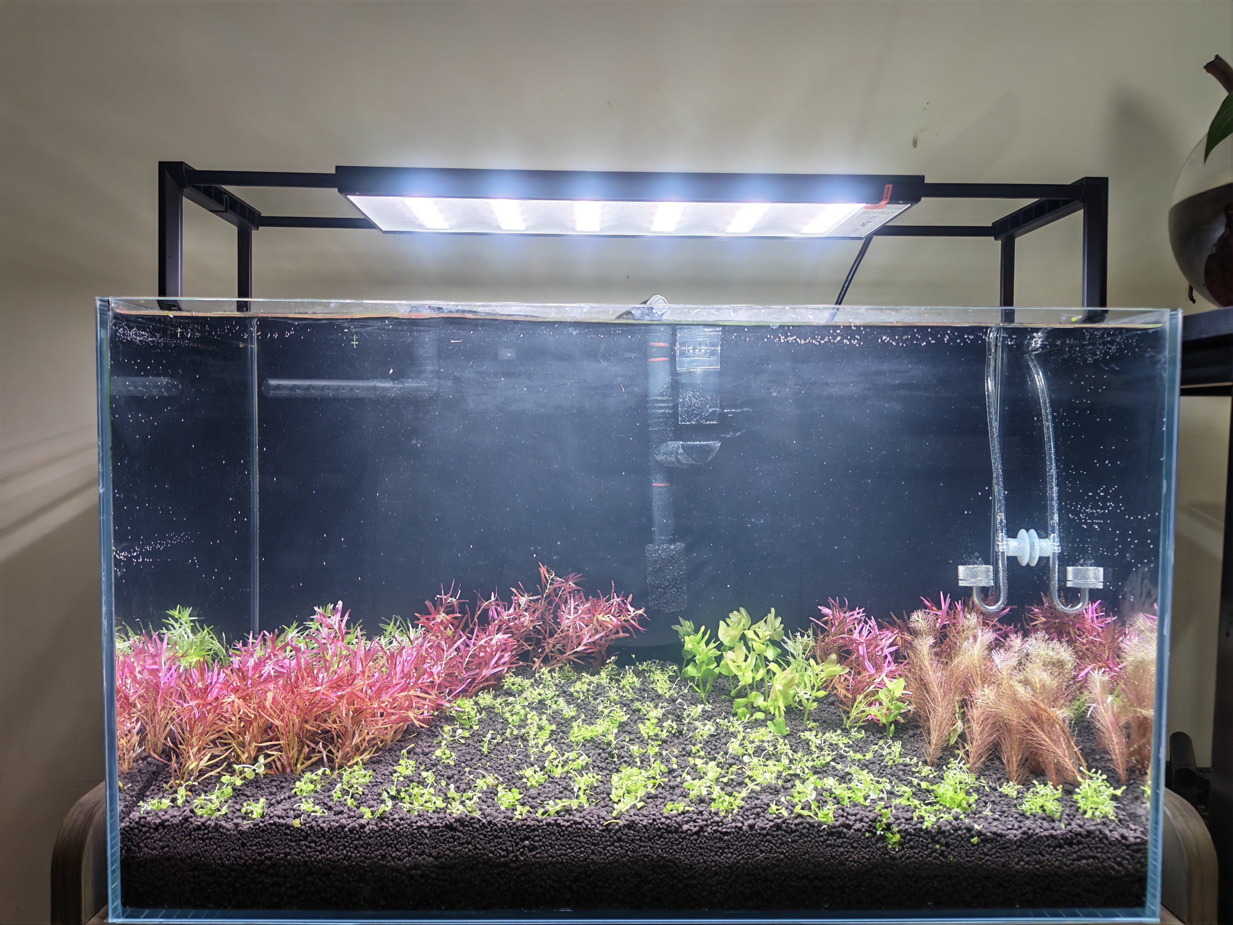 尼特利AT5S水草灯540S专业级全光谱led伸缩鱼缸灯专用植物补光灯 实拍图