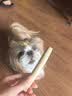 HELLOJOY咖啡木磨牙棒狗狗宠物玩具洁牙洁齿大中小型幼犬防拆家专用耐啃咬 实拍图