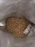 京东京造咕噜宣言全价猫粮主食冻干1kg 幼猫成猫通用三文鱼鲜肉高蛋白 实拍图