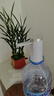 UORRIS【百万热销】抽水器桶装水杀菌电动饮水机抽水器 矿泉纯净水可折叠自动上水器取水器压水器抽水泵 珍珠白丨防误触不漏水 UVC强效杀菌丨折叠更卫生丨可续航60天 实拍图