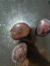 星派果【顺丰多地次日达】智利进口西梅法兰西孕妇李子当季新鲜水果礼盒 2斤大果【超值装单果18-25g】净重1.5斤 坏果包赔 | 顺丰速运 实拍图