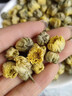 福然 杭白菊胎菊100g菊花茶 菊花胎菊杭白菊花蕾养生茶泡水花茶 实拍图