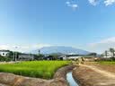绿伞洁厕灵 卫生间厕所马桶清洁 洁厕剂 除垢芳香除菌 800g*4瓶 实拍图