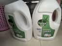 滴露（Dettol）衣物除菌液松木3L 内衣袜子衣物长效杀菌除螨 衣服消毒液儿童可用 实拍图