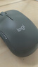 罗技（Logitech）M221 轻音鼠标 无线鼠标 办公鼠标 对称鼠标 带无线微型接收器 薄荷绿 实拍图
