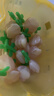 周十五益生菌蜂蜜露孕妇开塞蜜露待产包用品儿童老人蜂蜜栓旅行便携4支 实拍图