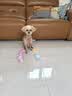 HELLOJOY狗狗玩具球小狗磨牙棒骨头耐咬狗咬胶小型犬宠物用品幼犬自嗨解闷 实拍图