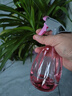 喷壶浇花浇水喷雾器气压式喷水壶家用园艺养花500ml 南瓜喷壶透粉【1个装】 实拍图