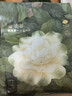 babycare爆款山茶花一次性内裤女孕产妇日抛出差旅行XL码15条【安全灭菌】 实拍图