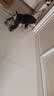欢宠网猫玩具猫咪自动逗猫老鼠电动球自嗨解闷神器磨牙猫猫小猫幼猫宠物 实拍图