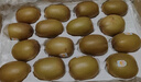 佳沛（zespri）新西兰阳光金奇异果原箱 16粒巨无霸 单果约204-233g   水果礼盒 实拍图