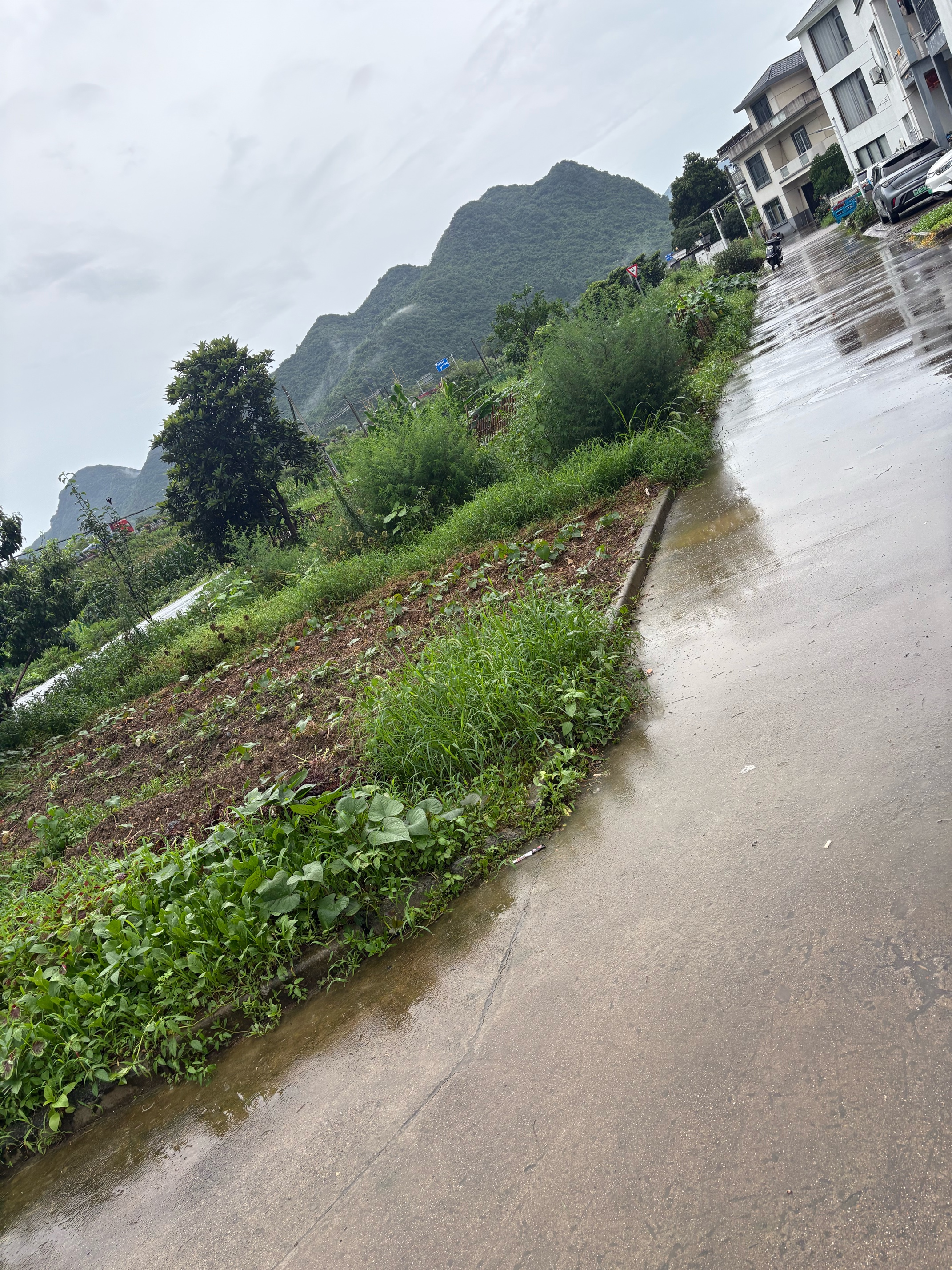 灭焰仕水基灭火器商铺厂房仓库可灭电火耐高温消防980ml34B碳钢 实拍图