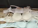 都市丽人内衣女无钢圈文胸聚拢中薄款乳罩波斯菊蕾丝胸罩2B9506 实拍图