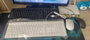 戴尔（DELL）KB216键盘有线商务办公键盘笔记本电脑台式机外接配件全尺寸静音键盘USB即插即用防泼溅（白色） 实拍图