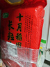 十月稻田 长粒香大米 10斤（东北大米 香米 5kg/公斤） 实拍图