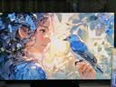 LG电视 48英寸 OLED48G5PCA【送爱奇艺年卡】 实拍图